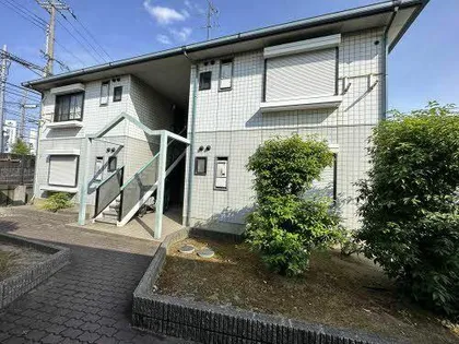 ドルチェ高石の画像