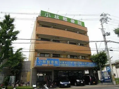 マイドリームの画像