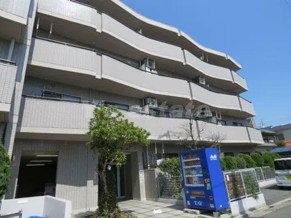 シロハイヌ小阪の画像