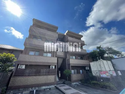 フリーダムの画像