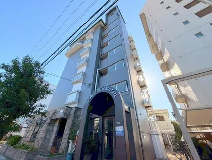 リーフ ザ カピタンの画像