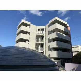 NS21やごとの画像