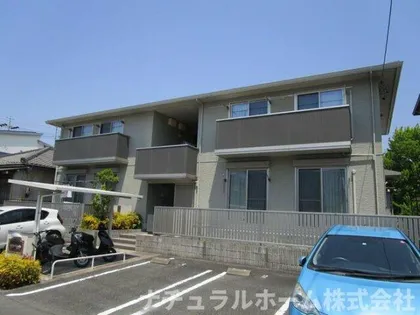 アルブル エストレジャの画像