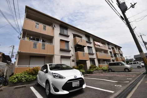 アムールY&Nの画像