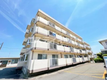 シャンピアの画像