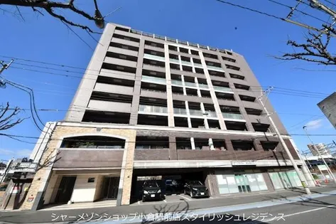 フェルトの画像