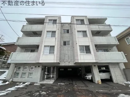シエロの画像