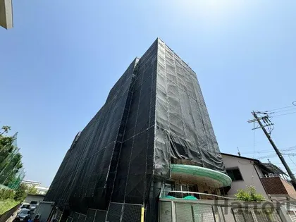 プリムールの画像