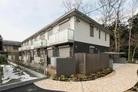 PRONUBE源 GENの画像
