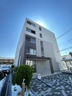 VELL SHINE 穂の画像