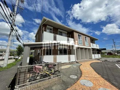 グレイスタニグチの画像