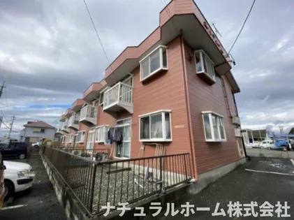 エルディム藤の画像