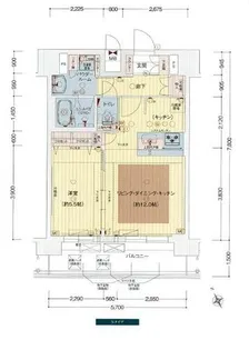 プレサンスOSAKA DOMECITYビーツ【1206号室】の間取り
