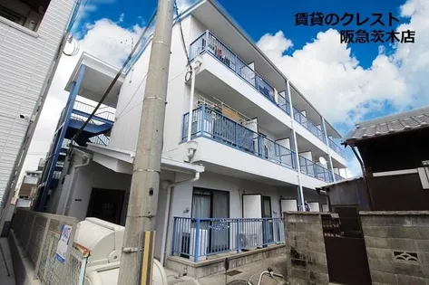 コスモセブンの画像