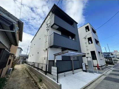 APEXの画像