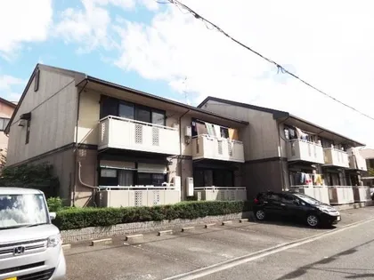 ペニーレインの画像