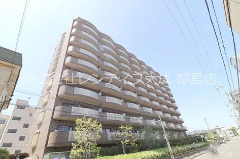 コートサンファインの画像