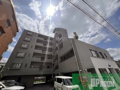 グリーンオークの画像