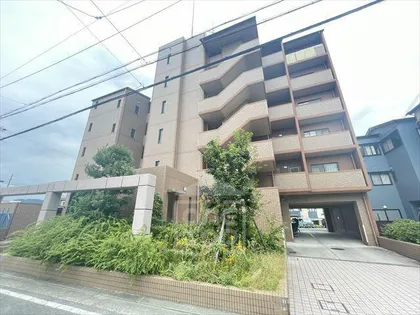 キャピタルグレイスの画像