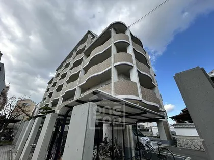 リヴァーウィンドの画像