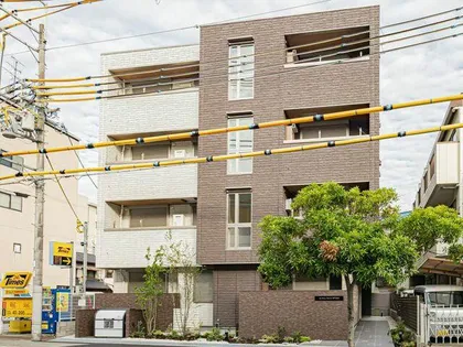 SHAMAISON STACIA 津門宝津の画像