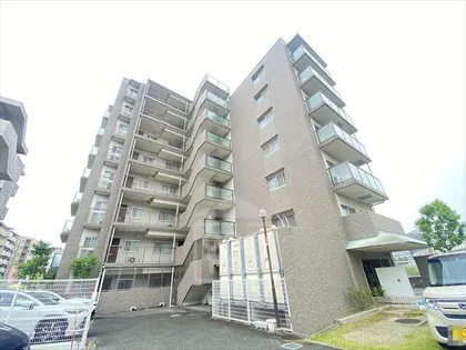 旭エルフの画像