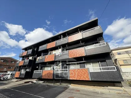 シャンテコウノキの画像