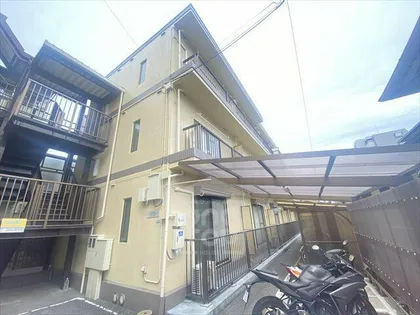 プリマヴェーラ1の画像