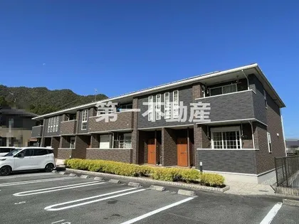 ステラテレーノの画像