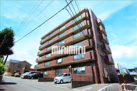 メゾン白山【1階】の外観