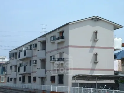 マプログレイスⅢの画像