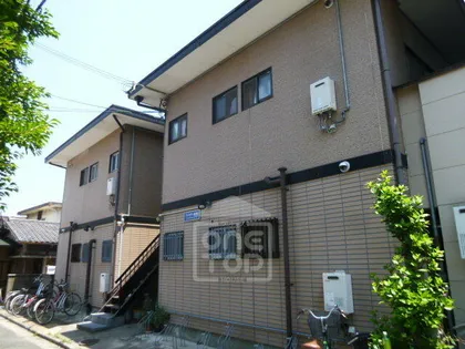 フェルティMSの画像