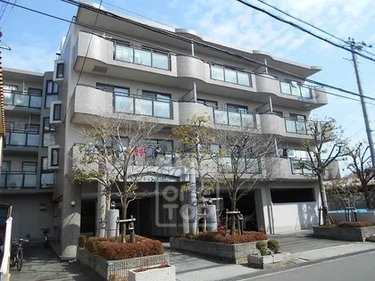 大谷グレイスハイツ2の画像