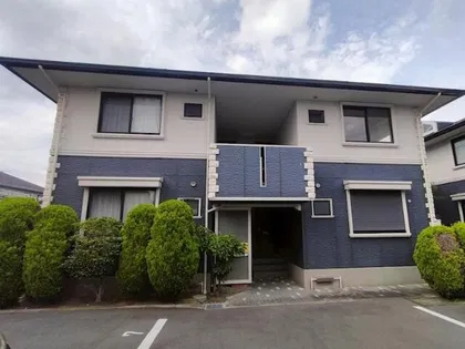 ハイカムールエルテの画像
