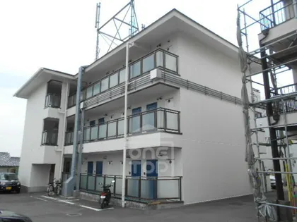 メゾン揺光【1階】の外観