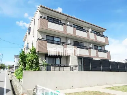 プリマベーラの画像