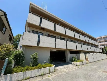 ドムール若山の画像