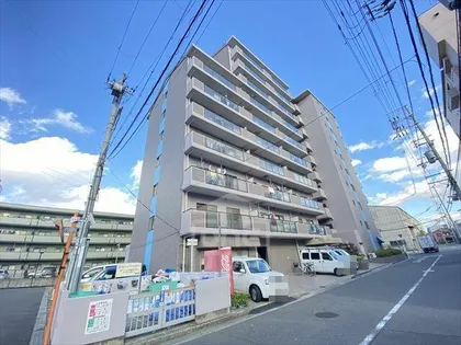 グレーシア大西の画像