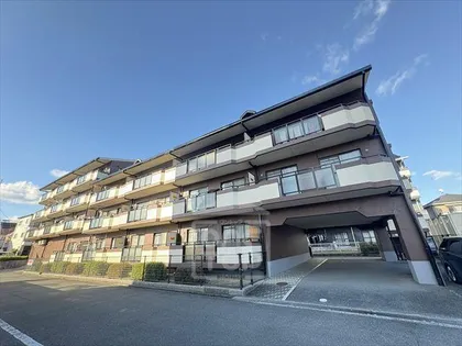 第二ドゥエルなかせいの画像