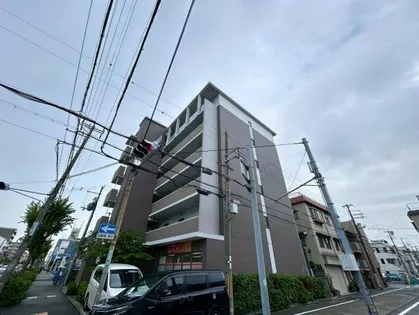 サンステラの画像