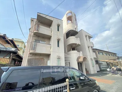 ドムールアヤメの画像