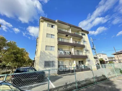 ヴィレーラの画像