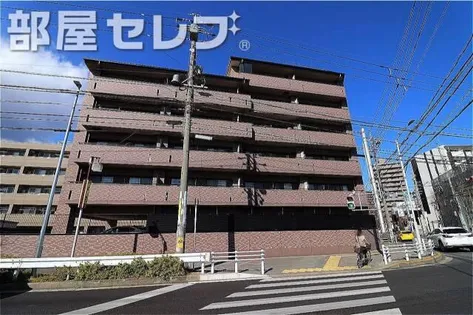 SERENO HARAの画像