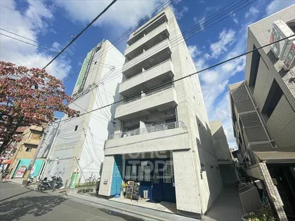 アネシスフナキの画像