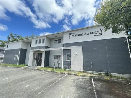 MAISON DU ANGEの画像
