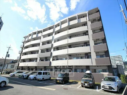 カンマキーノの画像