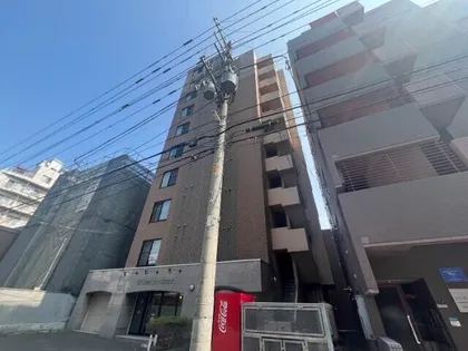 カハラコートファーストの画像