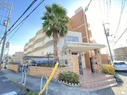 デル スール ラ ローザの画像