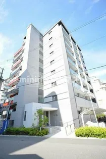 ステラ桜川の画像