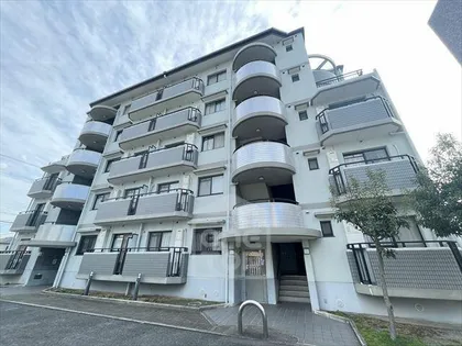 ボア ソルテの画像